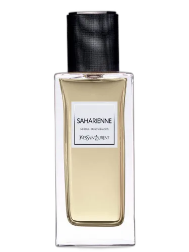 Saharienne Yves Saint Laurent by Yves Saint Laurent