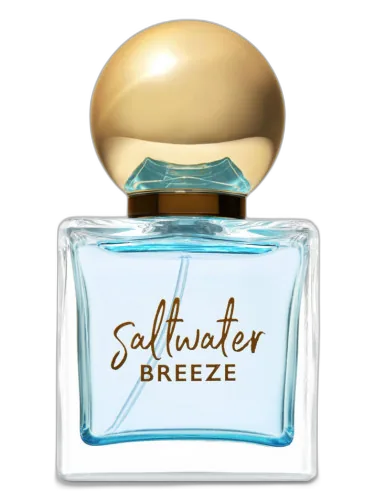 Saltwater Breeze Bath & Body Works by Bath & Body Works