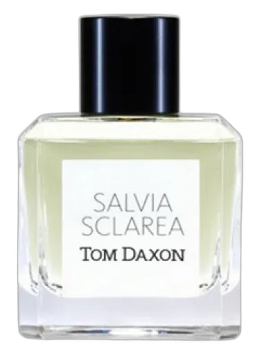 Salvia Sclarea Tom Daxon by Tom Daxon