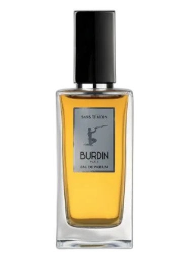 Sans Temoin Burdin by Burdin