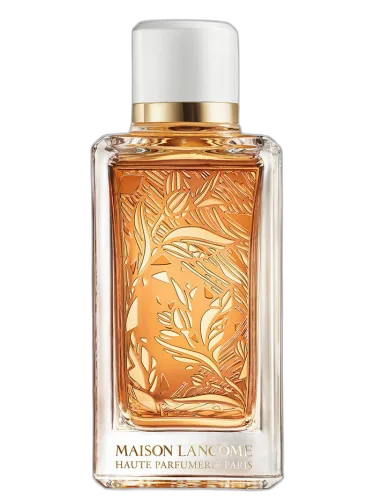 Santal Kardamon Lancôme by Lancôme