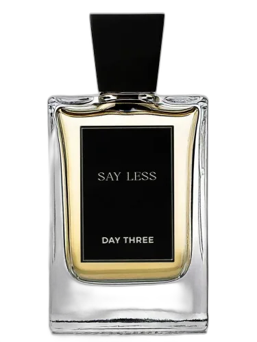 Say Less Day Three by Day Three