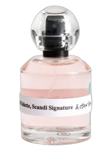 Scandi Signature And Other Stories by And Other Stories