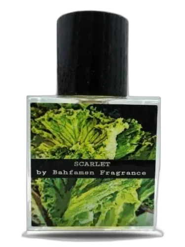 Scarlet Bahfamsn Fragrance by Bahfamsn Fragrance