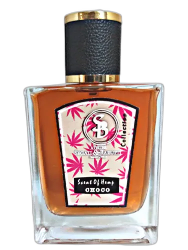 Scent Of Hemp Choco Atelier Segall & Barutti by Atelier Segall & Barutti