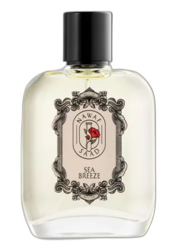 Sea Breeze Nawaf Saad by Nawaf Saad