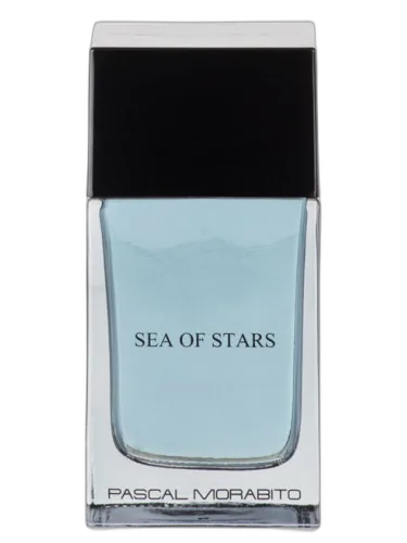 Sea Of Stars Pascal Morabito by Pascal Morabito