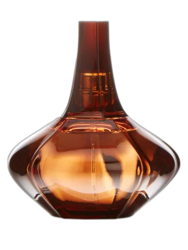Secret Obsession Calvin Klein by Calvin Klein