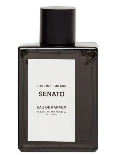 Senato Paolo Pecora Milano by Paolo Pecora Milano