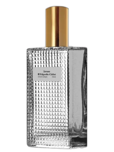 Senses Edgardio Chilini by Edgardio Chilini