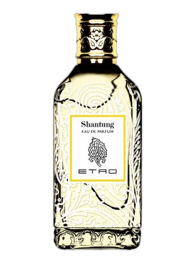 Shantung Etro by Etro