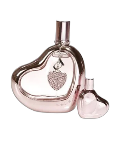 Sheer Bebe by Bebe
