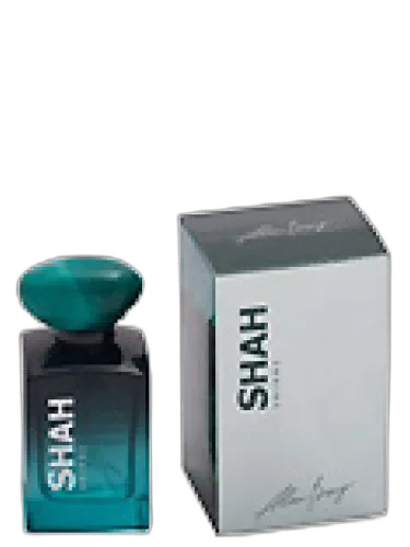 Shiraz Alan Bray by Alan Bray