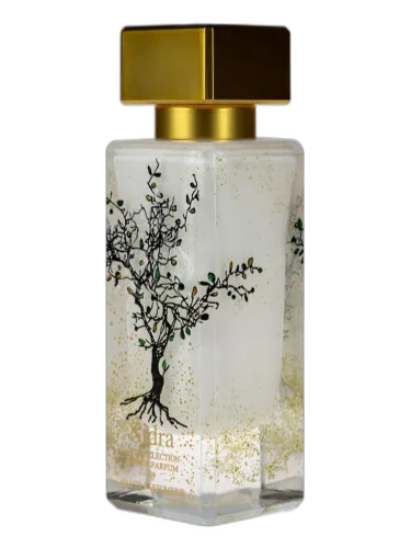 Sidra Al-jazeera Perfumes by Al-Jazeera Perfumes