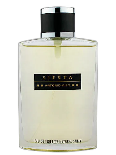 Siesta Antonio Miro by Antonio Miro