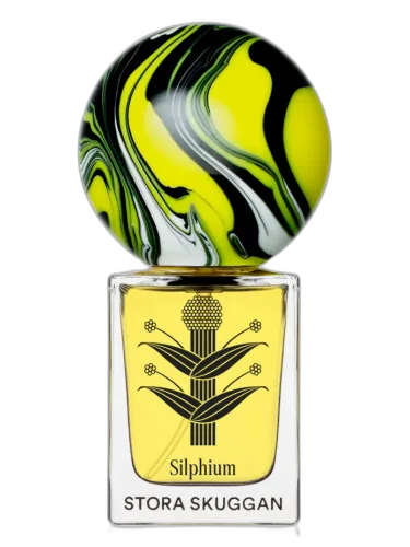 Silphium Stora Skuggan by Stora Skuggan