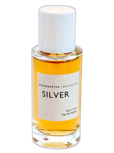 Silver Clandestine Laboratories