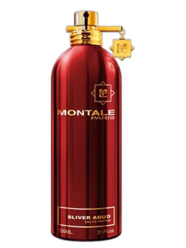Sliver Aoud Montale by Montale