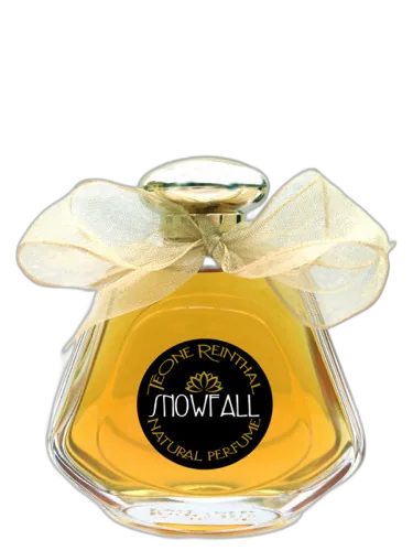 Snowfall Trnp by TRNP
