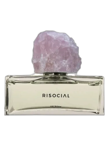Sober 丝绒公路 Risocial 在野南杂