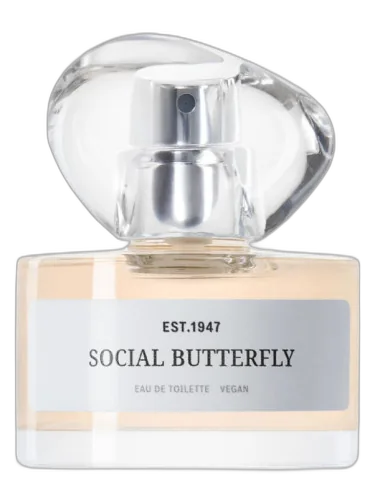 Social Butterfly H&m by H&M