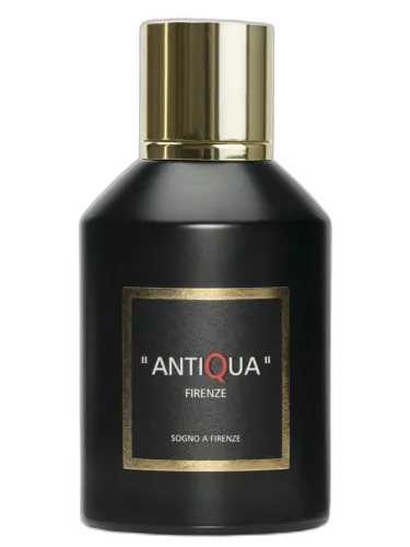 Sogno A Firenze Antiqua Firenze by Antiqua Firenze