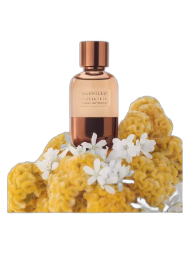 Sogno Notturno Brunello Cucinelli by Brunello Cucinelli