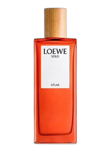 Solo Atlas Loewe by Loewe