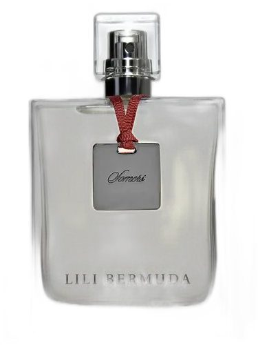 Somers Lili Bermuda by Lili Bermuda