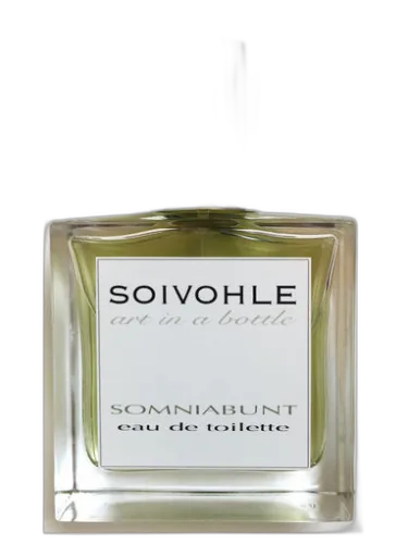 Somniabunt Soivohle by Soivohle