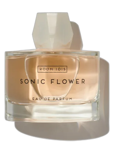 Sonic Flower Room 1015 by Room 1015