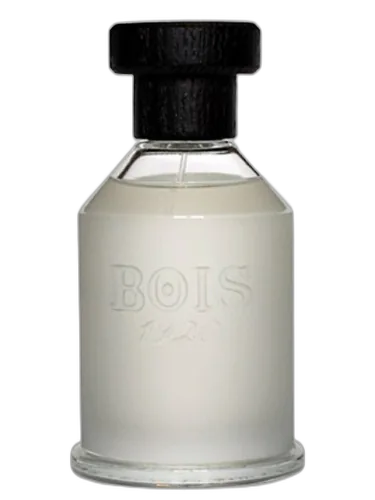 Sopra Il Mare Bois 1920 by Bois 1920