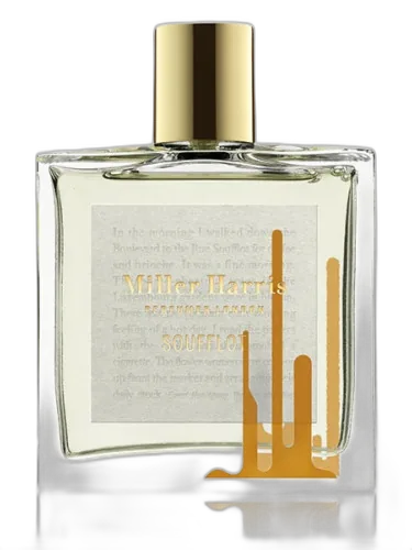 Soufflot Miller Harris by Miller Harris