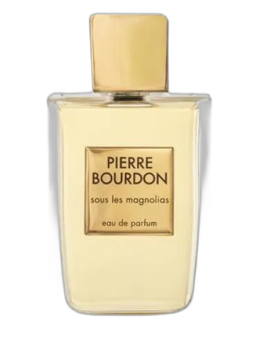 Sous Le Magnolias Pierre Bourdon by Pierre Bourdon