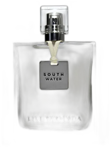 South Water Lili Bermuda by Lili Bermuda