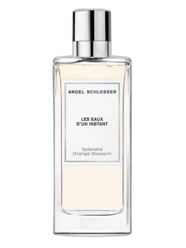 Splendid Orange Blossom Angel Schlesser by Angel Schlesser