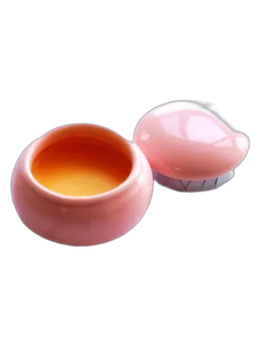 Spring Cherry Blossom 春之樱 南柯记 Nankeji