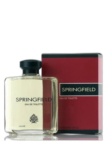 Springfield Antonio Puig by Antonio Puig