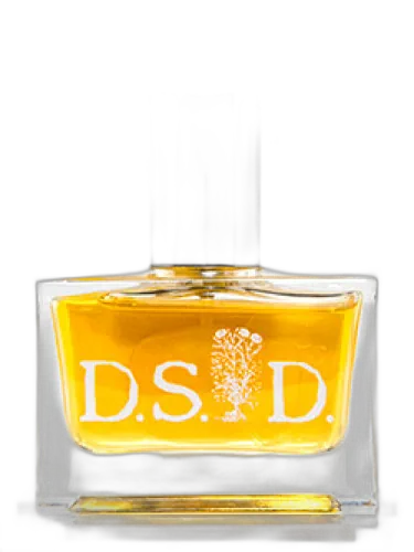 Staghorn Sumac Ds&durga by DS&Durga