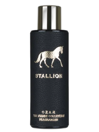 Stallion X Aslan Gülçiçek Czar by CZAR