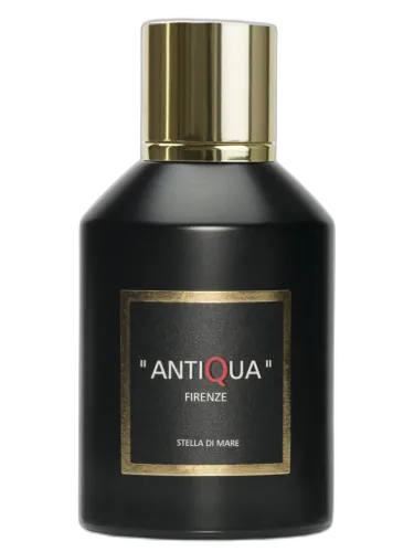 Stella Di Mare Antiqua Firenze by Antiqua Firenze