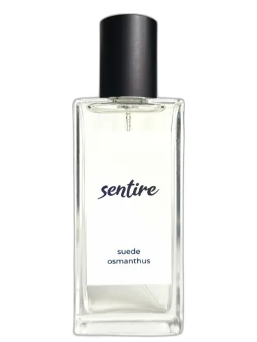 Suede Osmanthus Sentire by Sentire