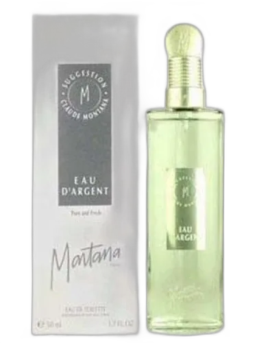 Suggestion Eau D'argent 1994 Montana by Montana
