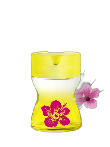 Sun & Love Parfums Love Love by Parfums Love Love