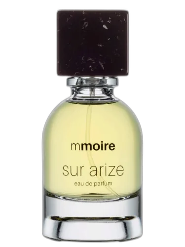 Sur Arize Mmoire by Mmoire