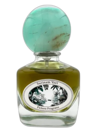 Surinam Vert Pictura Fragrans