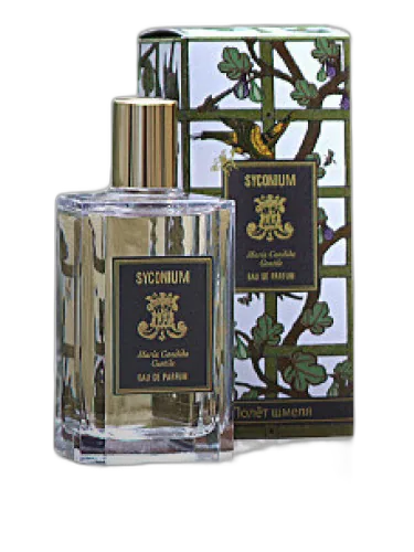 Syconium Maria Candida Gentile
