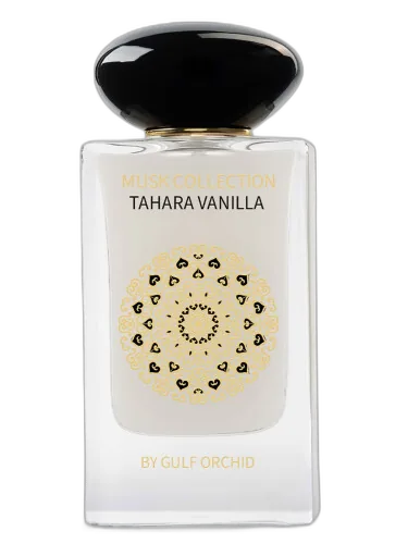 Tahara Vanilla Gulf Orchid by Gulf Orchid