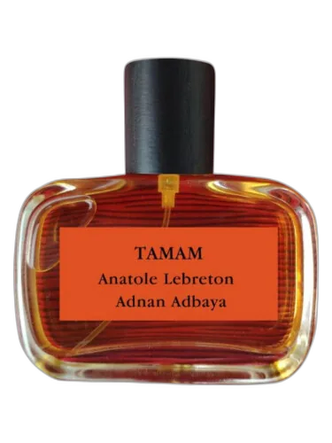 Tamam For Adnan Adbaya Anatole Lebreton by Anatole Lebreton