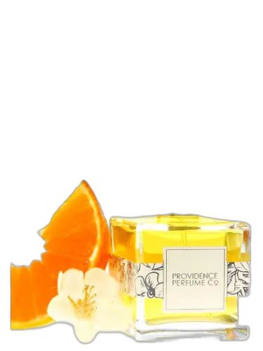Tangerine Thyme Providence Perfume Co. by Providence Perfume Co.